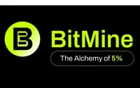 Stock Plummeted: The Truth About BitMine's ETH Bet - Bullish Signals Intensify