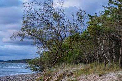 Panama's Nov 28 Economic Outlook: The Reality Amid Global Trade Tensions