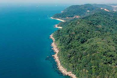 Panama's Nov 28 Economic Outlook: The Reality Amid Global Trade Tensions