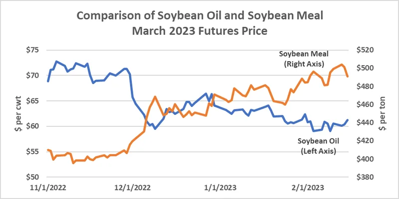 Soybean Prices Surge: The Data Behind the Price Spike
